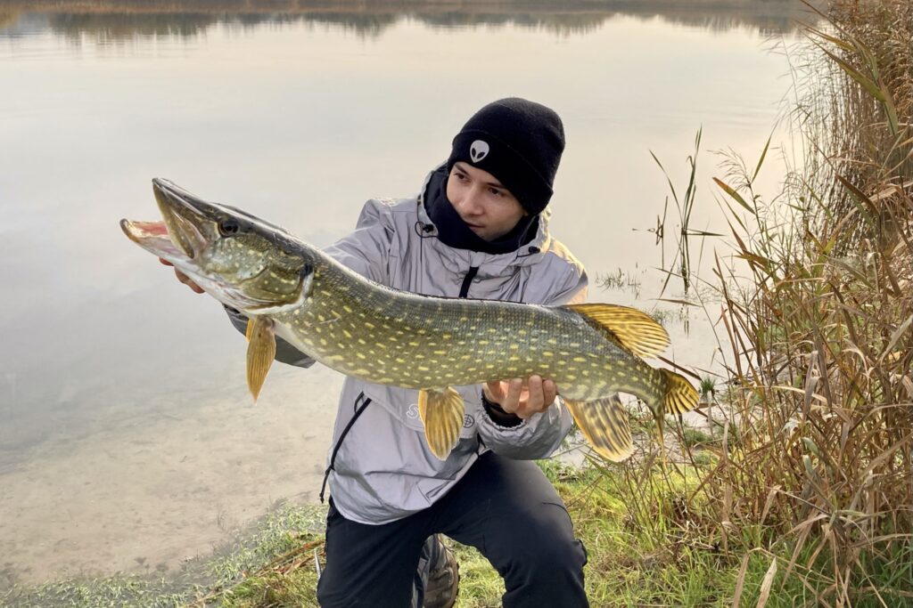 Balage with a decent Danish pike