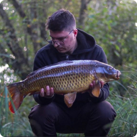 Dark colored nordic carp