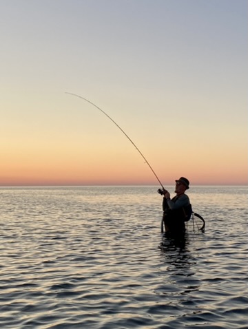 Sea fishing in Denmark