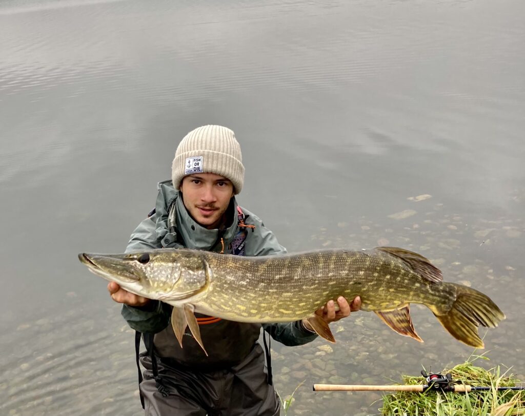 Balage with a decent Danish pike